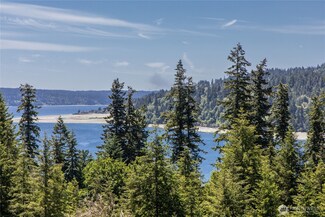 0 Tract C Teal Lake Rd, Port Ludlow, WA 98365