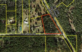 xxx Peck Betts Rd, Quincy, FL 32352