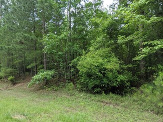 Lot 1 Indian Rd, Lincolnton, GA 30817