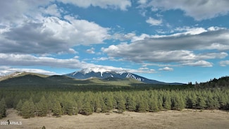 0 Forest Road 193 St Unit 6929926, Flagstaff, AZ 86001