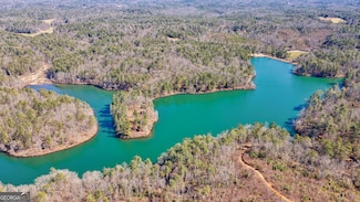 1338 Pleasant Hill Rd, Ellijay, GA 30540