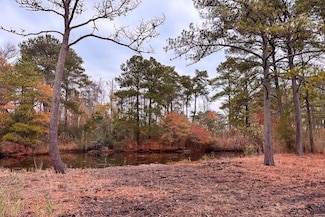 Lot 685 Bradley Ln Unit 685, Chincoteague, VA 23336
