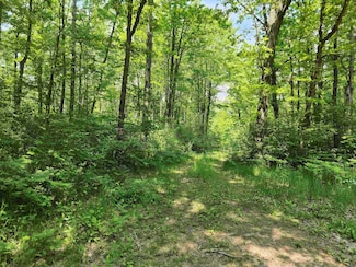 50 +/- Acres Mostetler Rd, Harrison, MI 48625