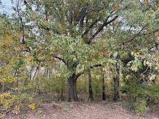 0 Faye Barfield Rd Unit LotWP001, Henning, TN 38041