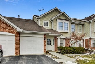 1225 Winfield Ct Unit 2, Roselle, IL 60172