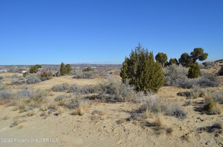 ABC Road 39431, Farmington, NM 87401
