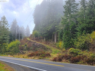 0 Miami Foley Rd Unit 800 23675675, Nehalem, OR 97131