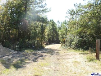 00 N Bethel Rd, Scranton, SC 29591