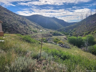 173 Grays Peak Ct, Glacier View Meadows, CO 80536