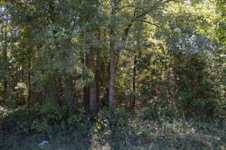 Tract 1 Coleman Chapel Rd, Bartow, GA 30413