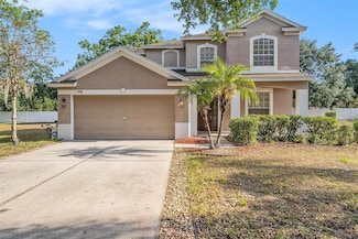 1605 Acorn Seed Ct, Valrico, FL 33594