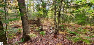 TBD Merwin Creek Rd, Manistique Township, MI 49854