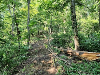 18 +/- Acres S County Road 1250 W, Medora, IN 47260