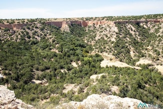4865 Quay Road L, San Jon, NM 88434