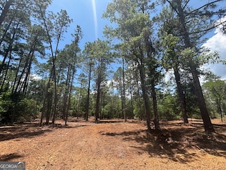 1 Longleaf Estates Rd, Macon, GA 31216