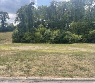 4531 Saint Andrews Dr, Steubenville, OH 43953