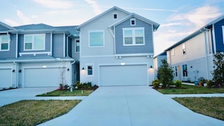 17213 Balance Cove, Land O Lakes, FL 34638
