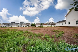 141 Steiner St, Madison, AL 35756