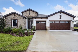 13071 Wellspring Dr, Lithia, FL 33547