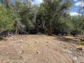 285 NW 7th St, Cedaredge, CO 81413