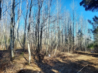0 Burrows Lake Rd, Little Rice, WI 54487