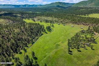 8253 Wiltbank Rd Unit n/a, Alpine, AZ 85920