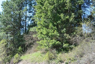 TBD Long Prairie Rd, Valley, WA 99181