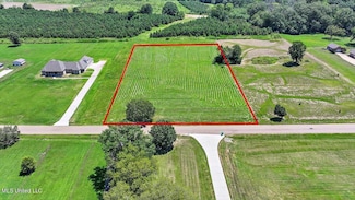 0 Meadow Oaks Ln, Clinton, MS 39209