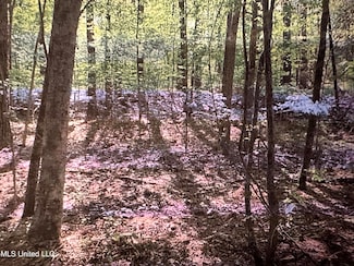 0 Stigler Rosa Dr Unit 4113809, Florence, MS 39073