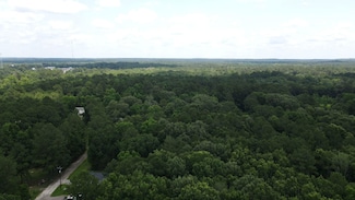 Austin, Livingston, TX 77351