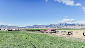 21506 S Race Track Rd, Downey, ID 83234