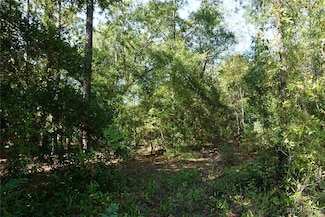 2169 W Rutland Dr, Dunnellon, FL 34434