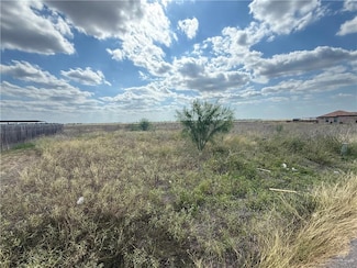 1021 W Gem Ave, Raymondville, TX 78580