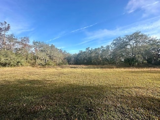 733 NE 239th Ave, Old Town, FL 32680