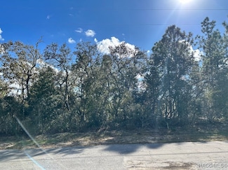 2860 W Buccaneer Ln, Citrus Springs, FL 34433