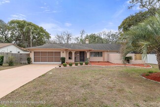 8154 Giffen Ln, Spring Hill, FL 34608