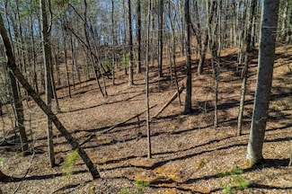 LOT 68 Julep Cir, Ellijay, GA 30540