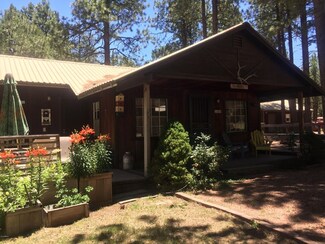 2510 Middle Loop, Forest Lakes, AZ 85931
