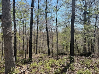 Lot 6 Devonshire Dr, Bella Vista, AR 72715