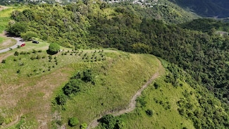 Bo. Río Hondo Carr 156 Km 2 5 Hm 29 4 Sector La Junc, Comerío, PR 00782