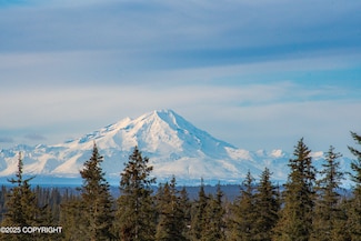 67225 Endless View Loop, Diamond Ridge, AK 99603