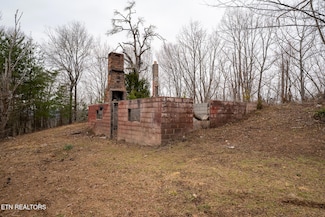 290 Mary Brown Ln, Rockwood, TN 37854