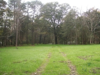 0 S Three Notch St, Troy, AL 36081