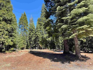 604 Clifford Trail, Lake Almanor Country Club, CA 96137