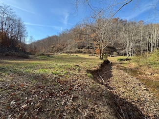 310 Tanner Fork, Shock, WV 26638