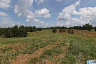 1460 County Road 79 Unit 133.7 Ac., Wadley, AL 36276