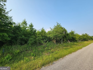 258 Old Wadley Rd, Midville, GA 30441