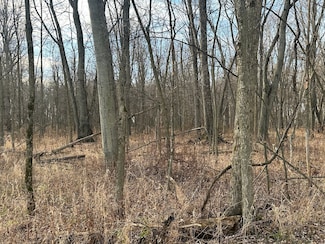 0 Farnsworth Rd Unit LotWP001, Wheatland Township, MI 48427