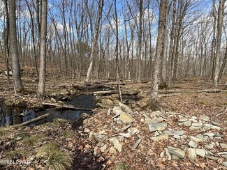 0 Dwarfskill Ct, Dingman Township, PA 18337