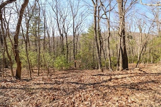 C11-C12 Little Ridge Trail, Fancy Gap, VA 24328